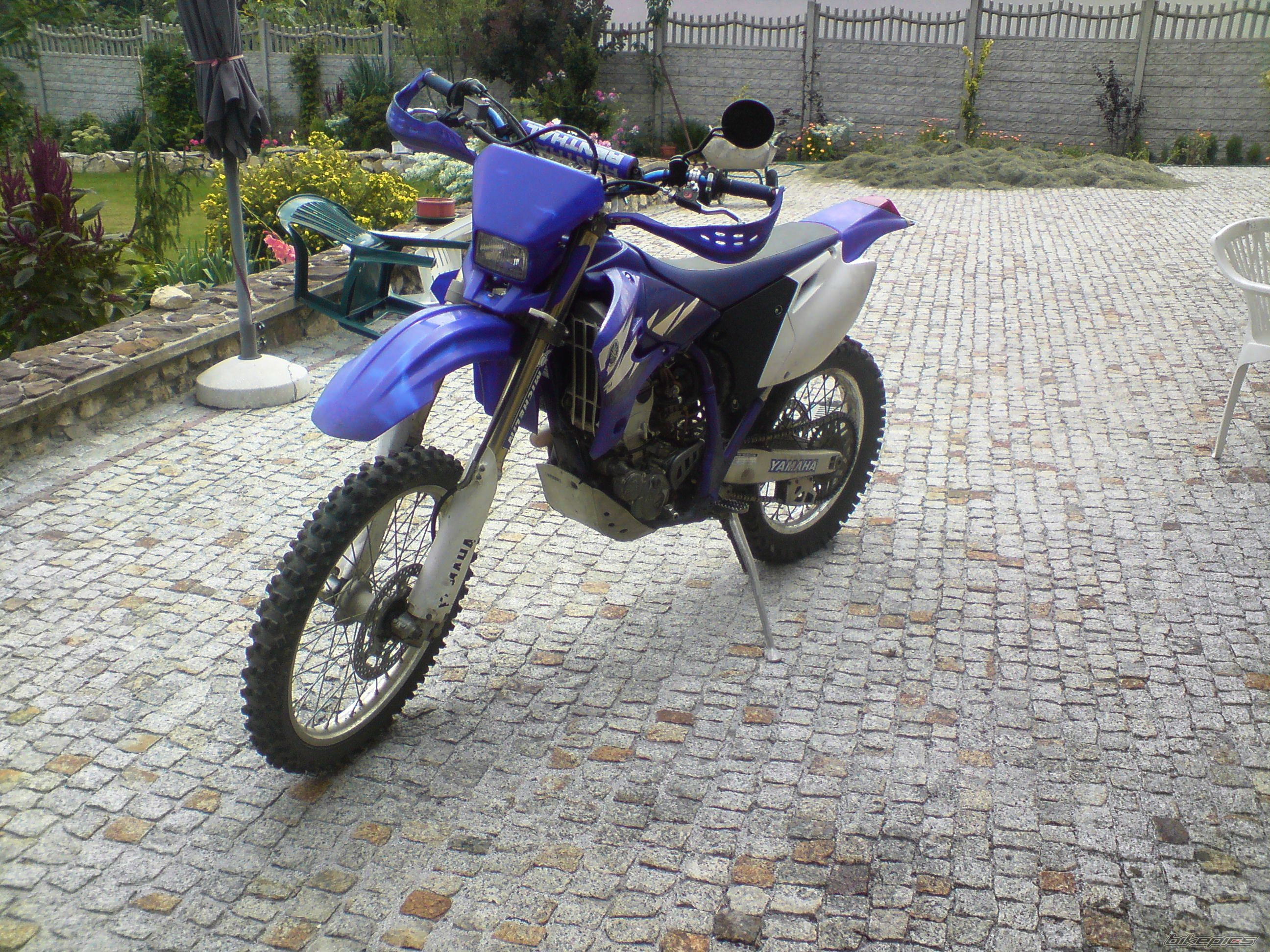 Photo 1384944