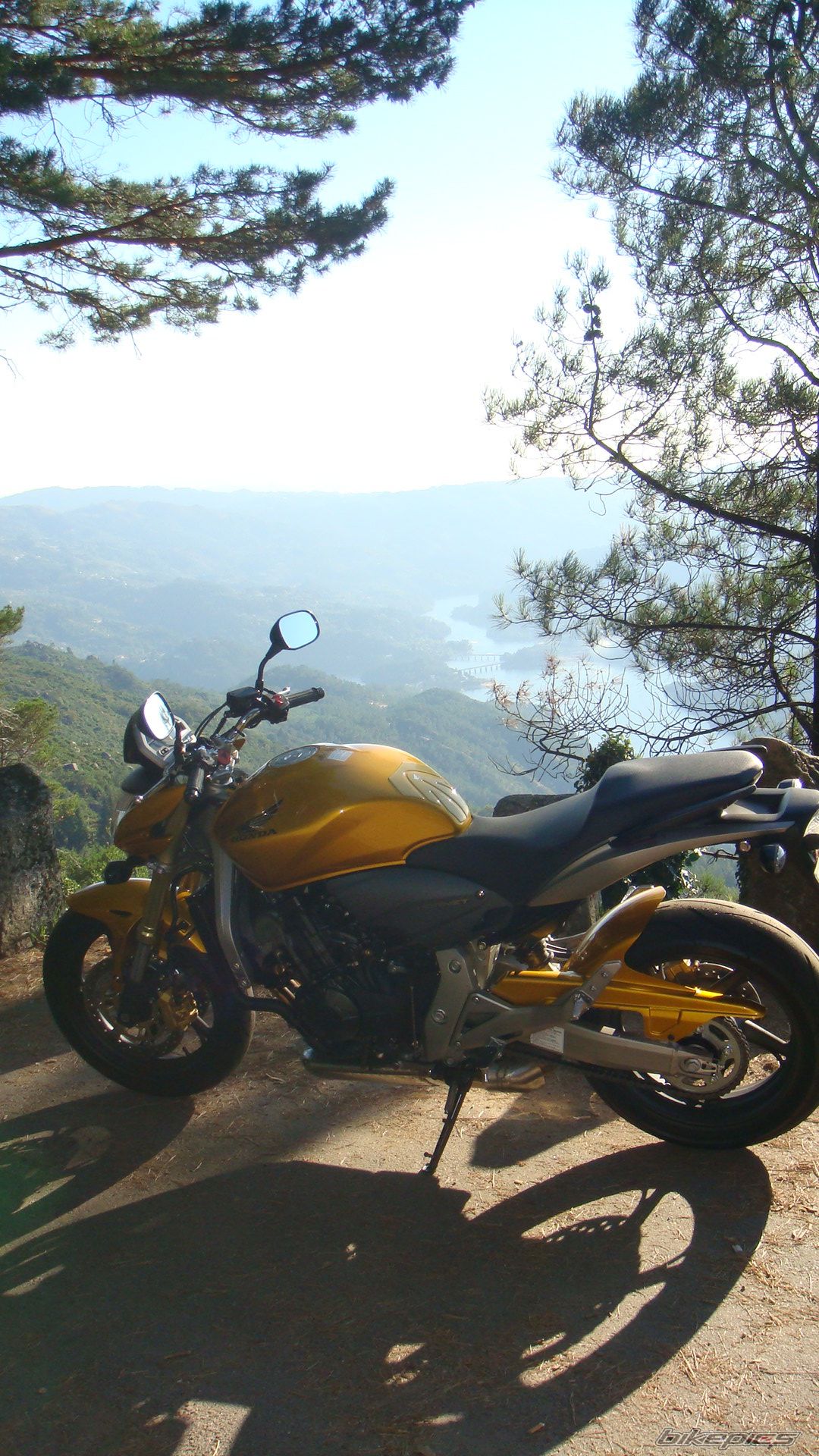 Bike Photo 1385000