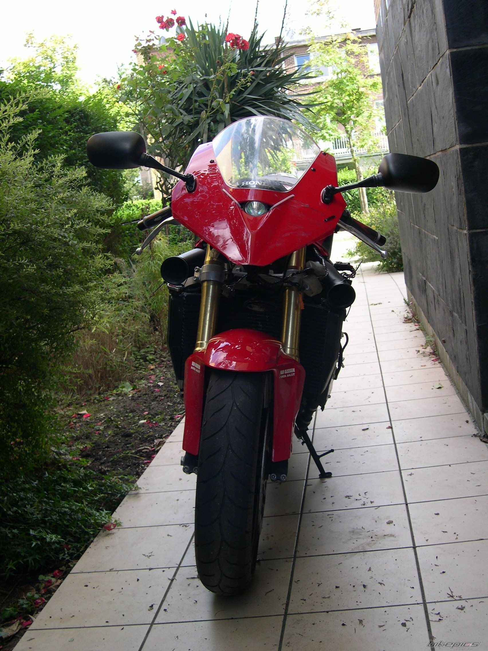 Photo 1385022