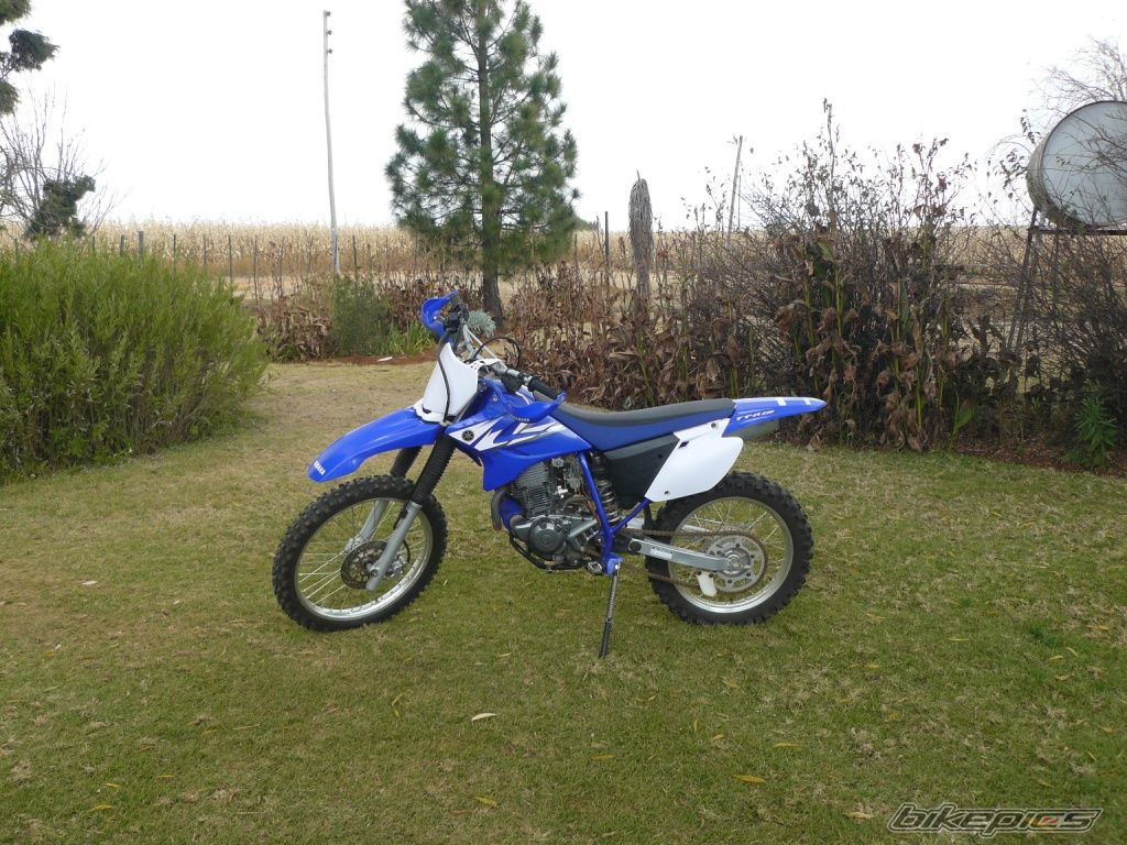 Photo 1385124