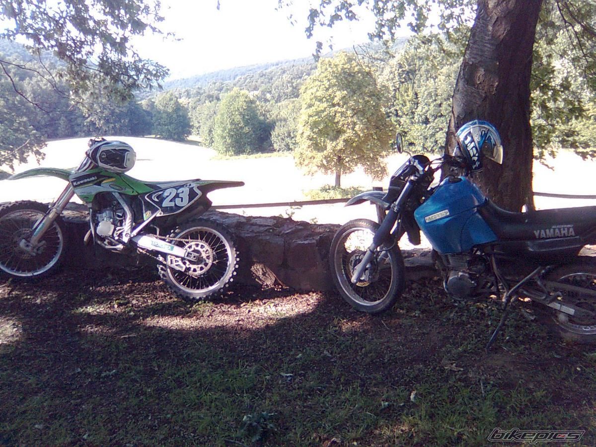 Photo 1385149
