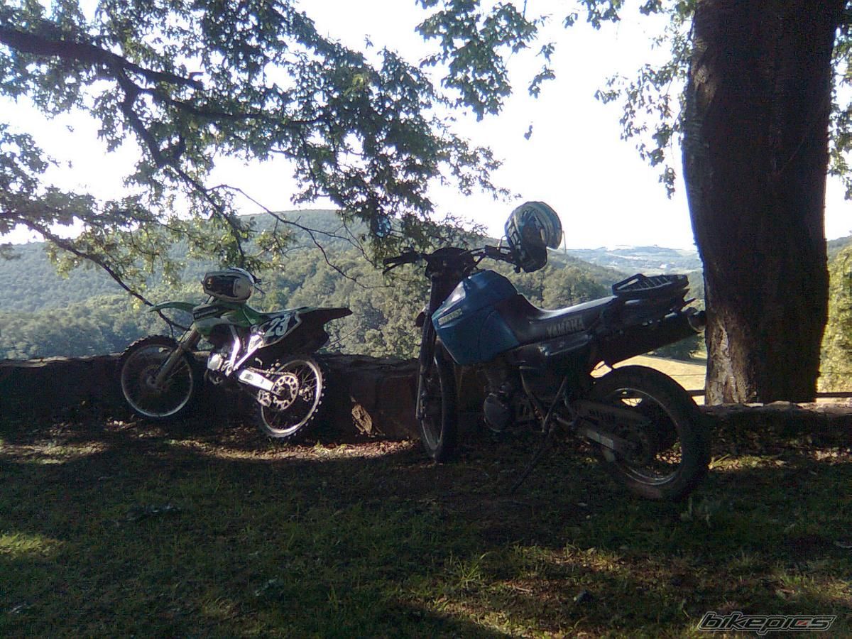 Photo 1385152