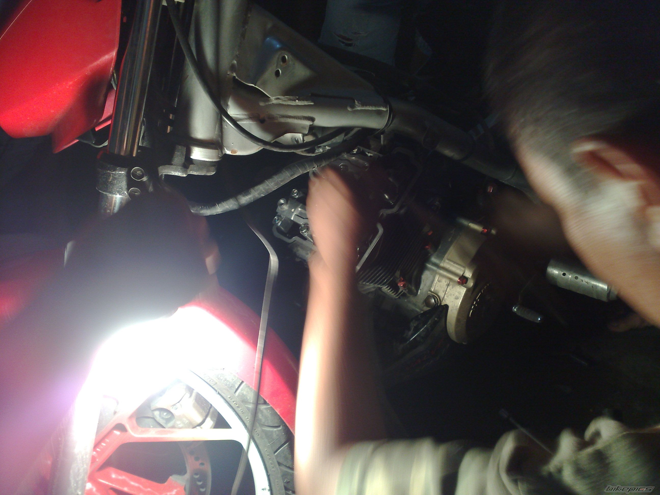 Photo 1385153