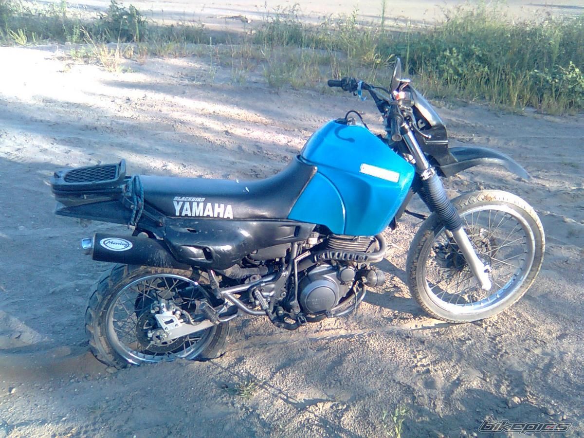 Bike Photo 1385169