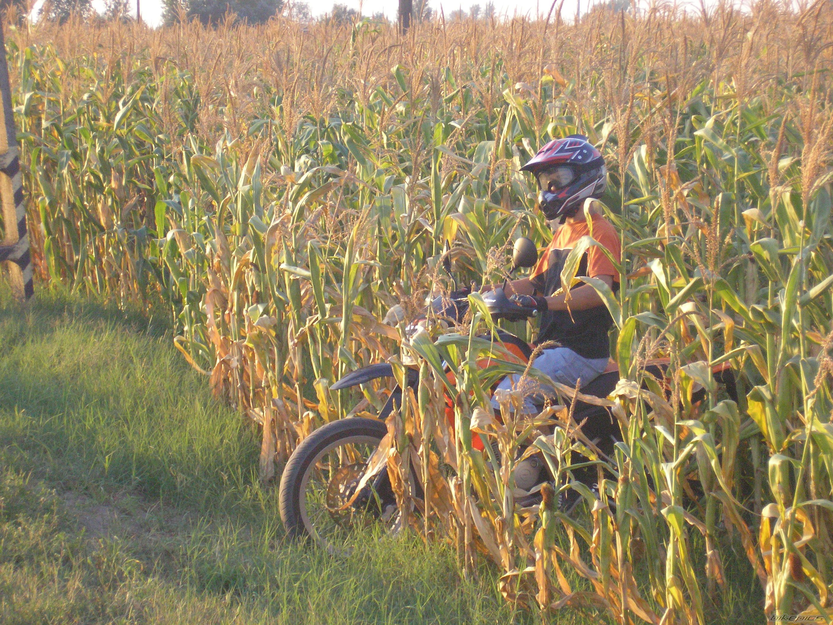 Bike Photo 1385234