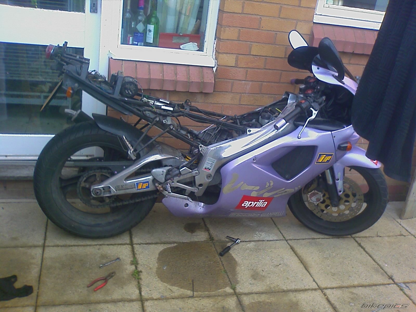 Photo 1385242