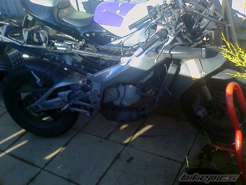 Photo 1385243