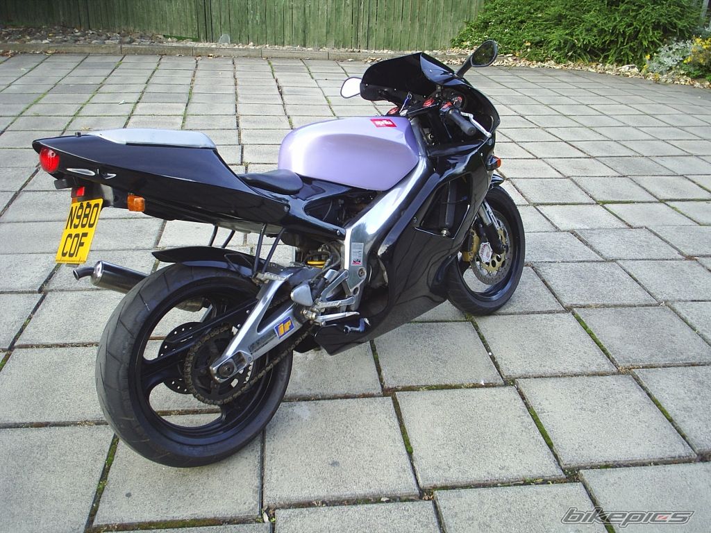 Photo 1385246