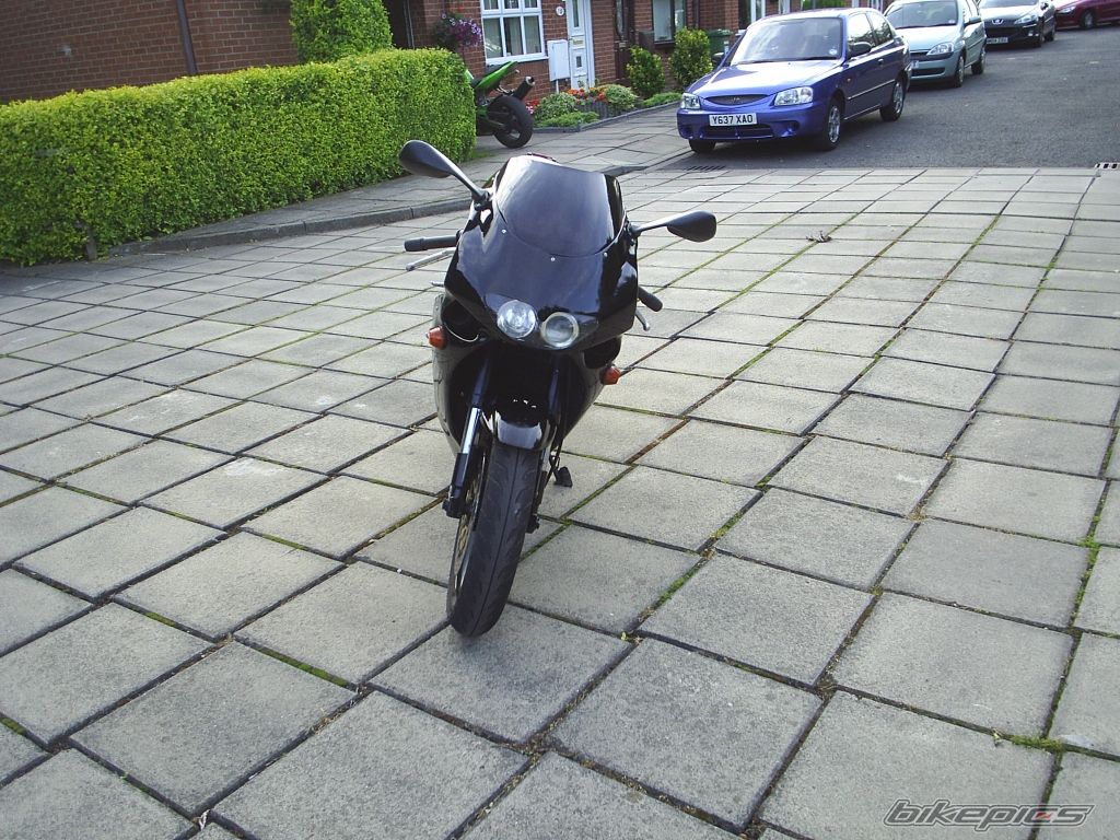 Photo 1385250