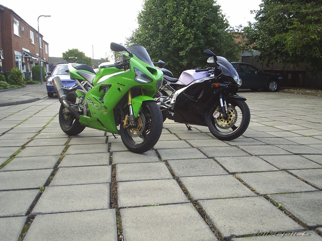 Photo 1385254