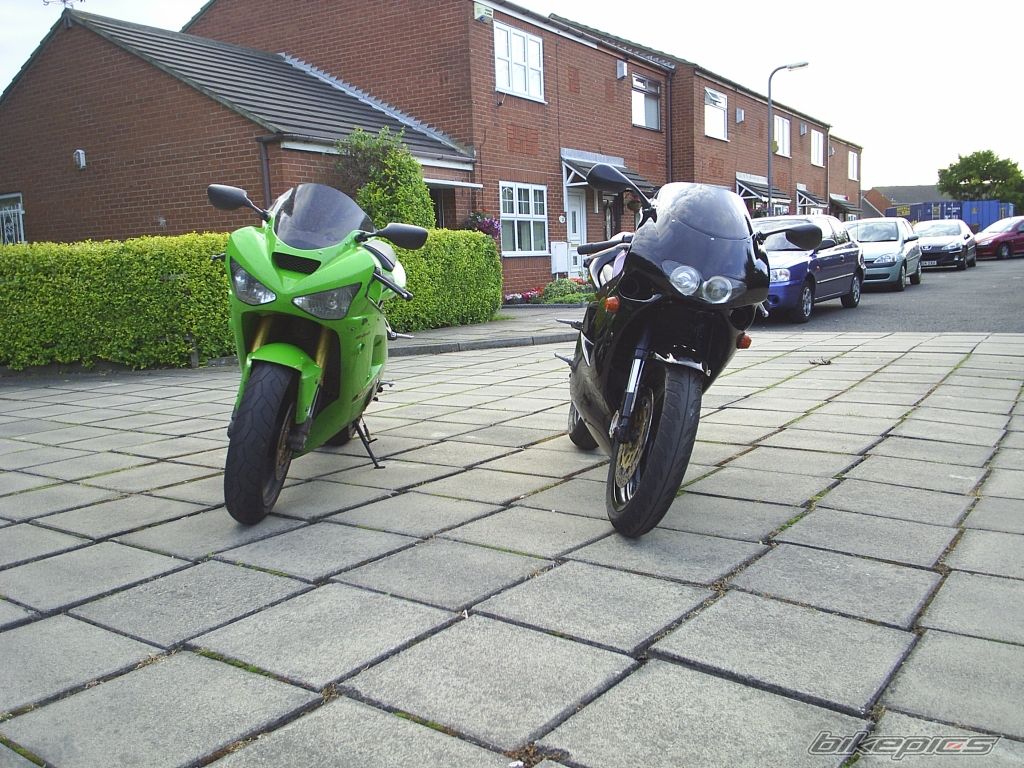 Photo 1385255