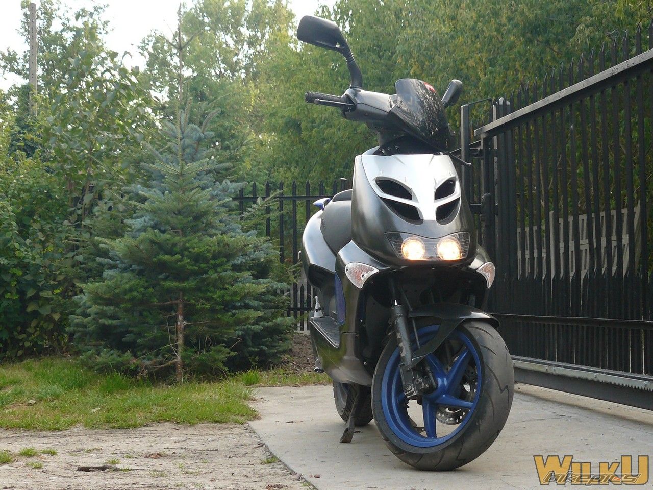 Photo 1385284