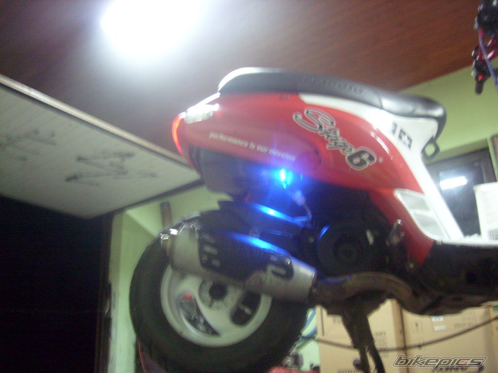 Photo 1385324