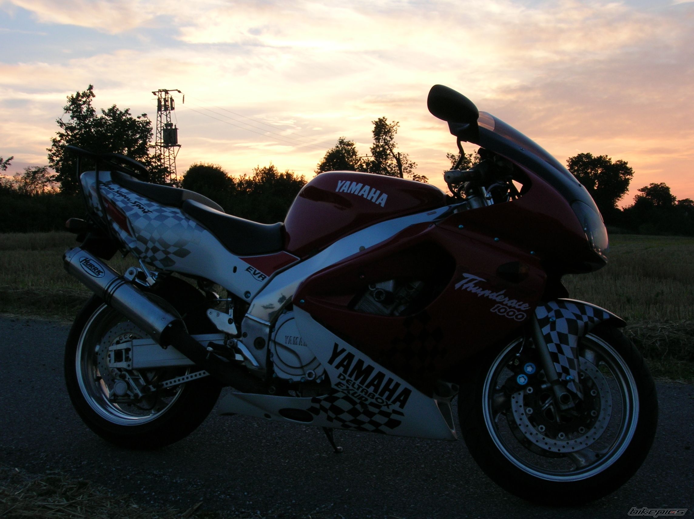Photo 1385335