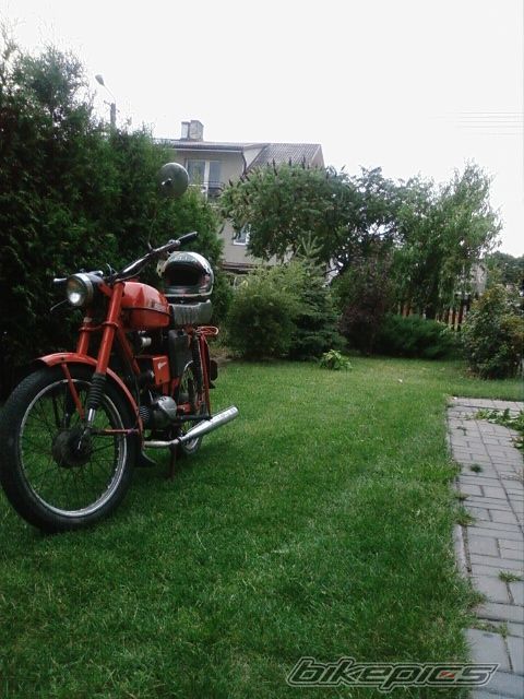 Photo 1385380