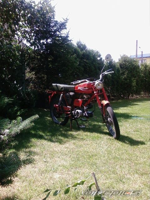 Photo 1385382