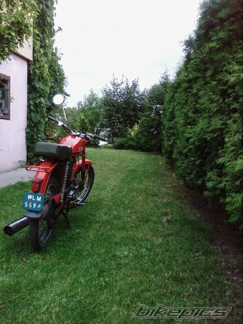 Photo 1385383