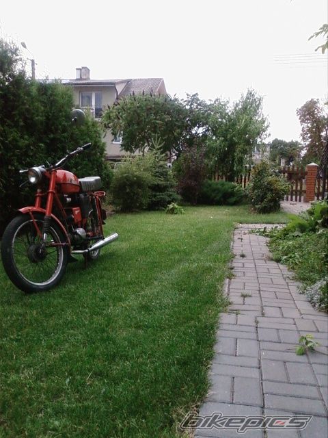 Photo 1385385