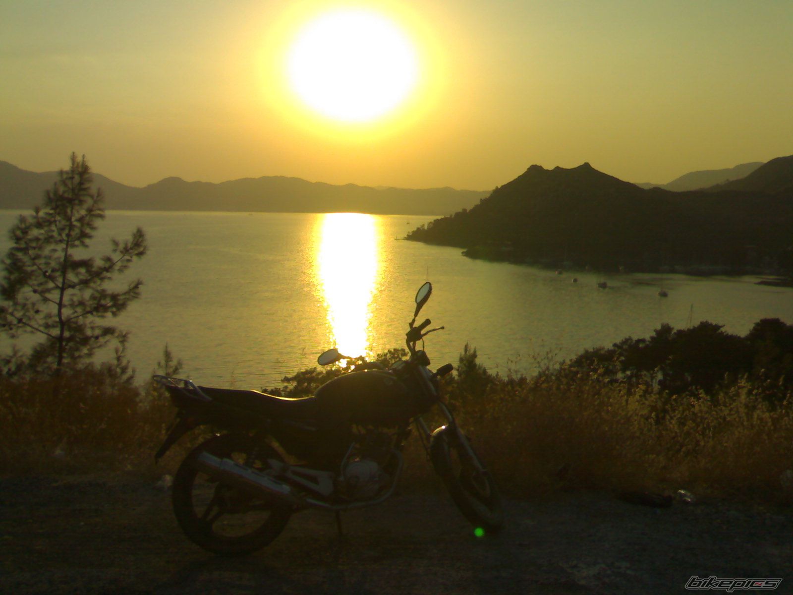 Bike Photo 1385485