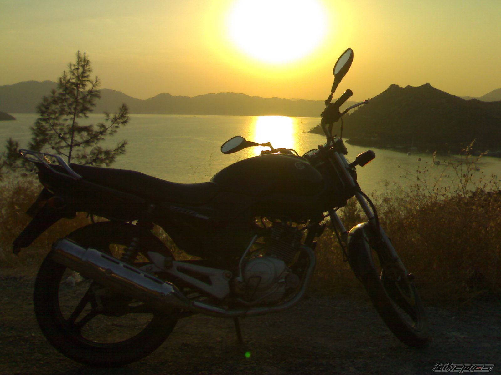Bike Photo 1385487