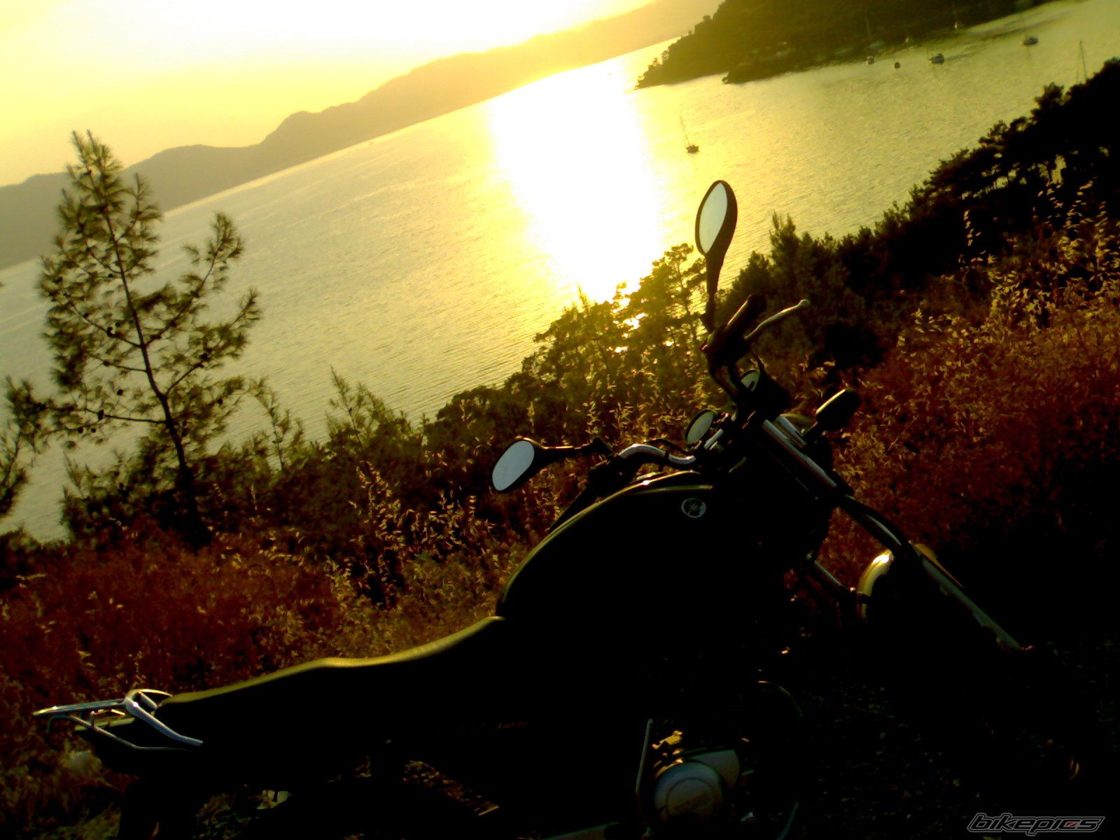 Bike Photo 1385488