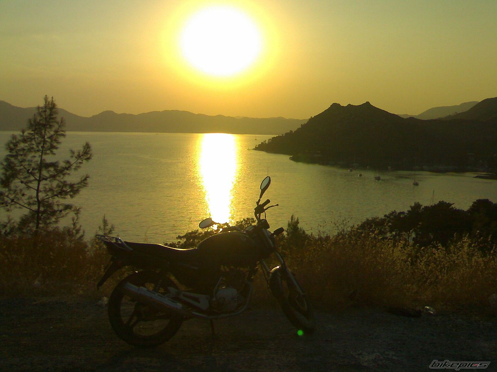 Bike Photo 1385489