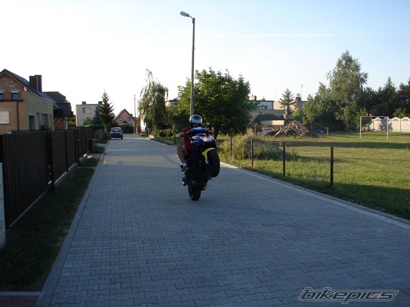 Photo 1385500
