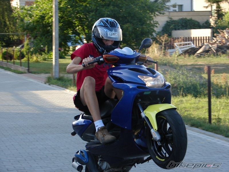 Photo 1385501