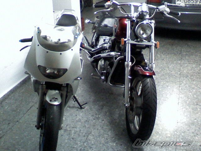 Photo 1385572