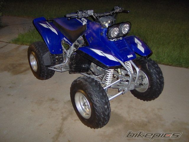 Photo 1385583