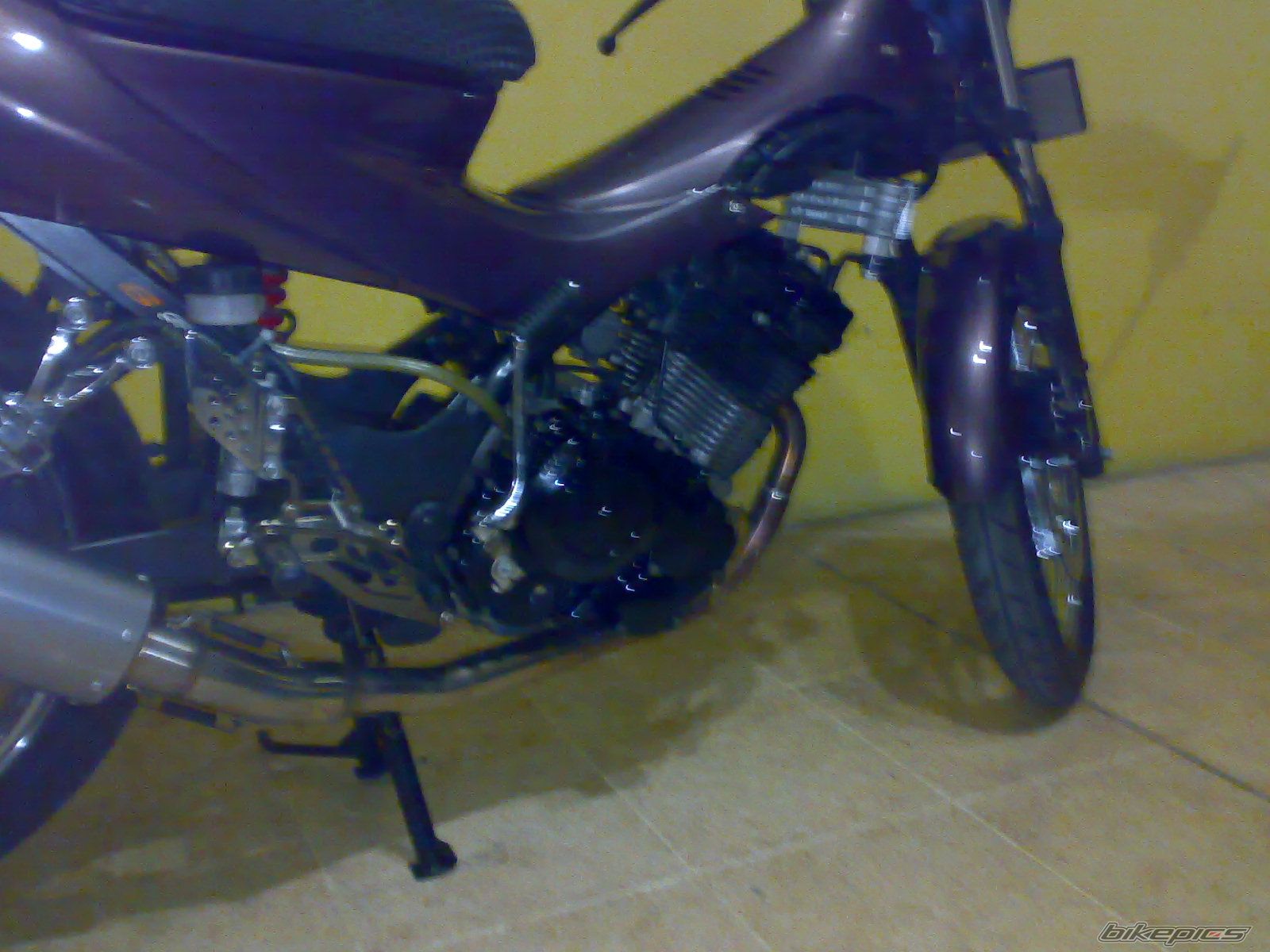 Photo 1385640