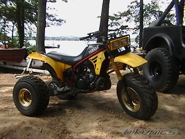 Photo 1385691