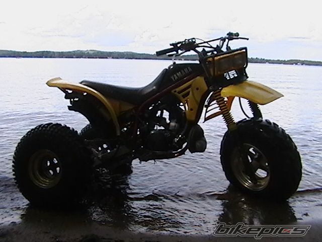 Photo 1385692