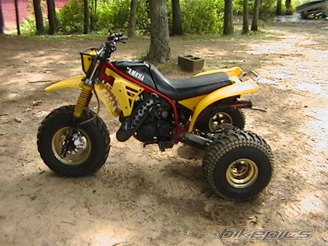 Photo 1385693