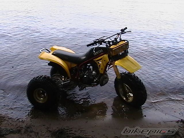 Photo 1385694