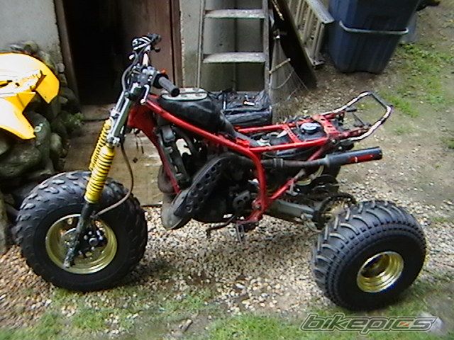 Photo 1385699