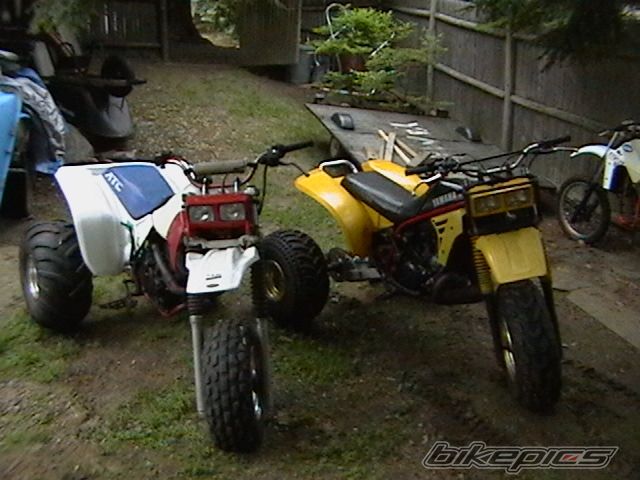Photo 1385701