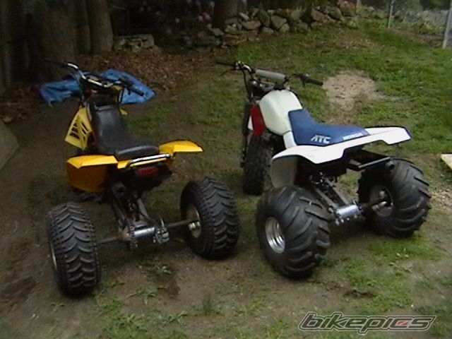 Photo 1385702