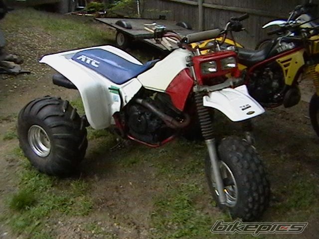 Photo 1385704