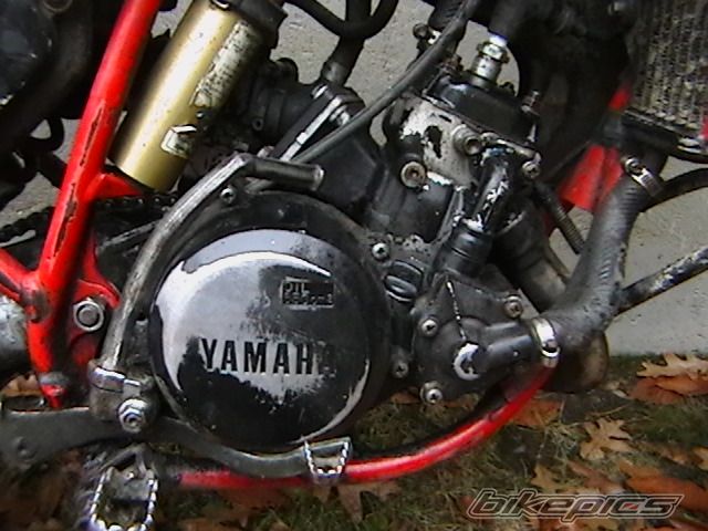 Photo 1385720