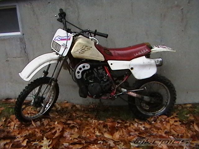 Photo 1385721