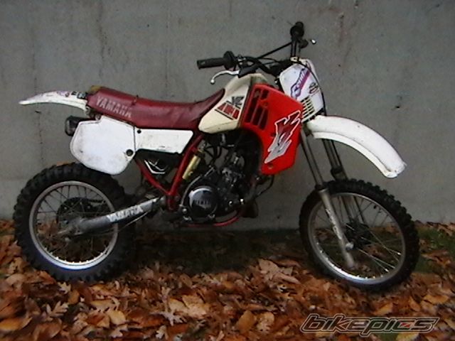 Photo 1385722