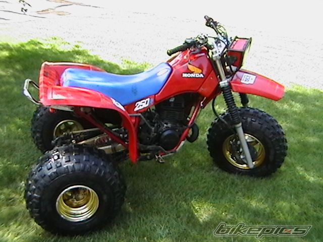 Photo 1385728