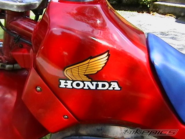 Photo 1385729
