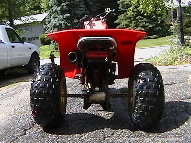 Photo 1385731