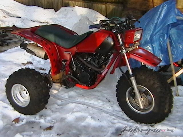 Photo 1385733