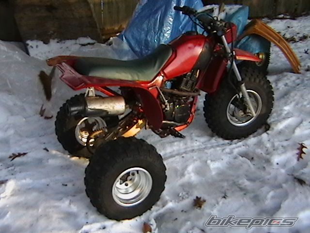 Photo 1385734