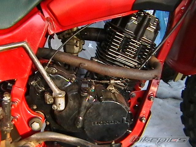 Photo 1385735