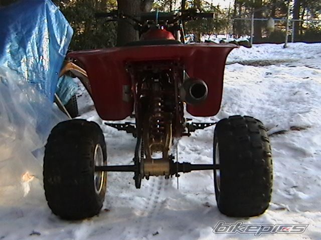 Photo 1385737