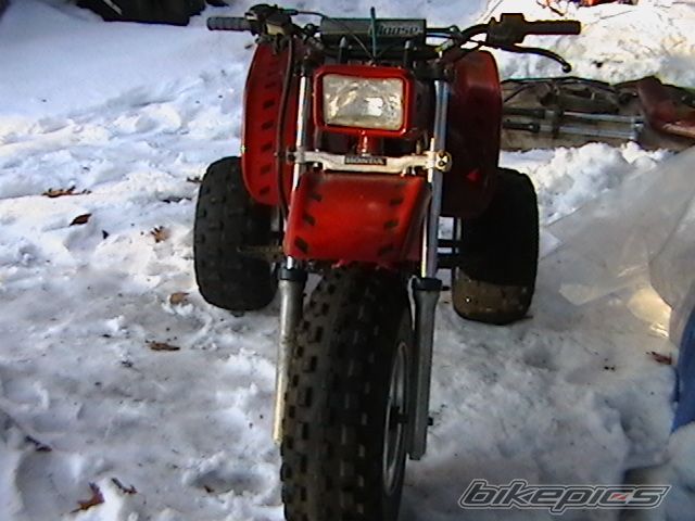 Photo 1385738